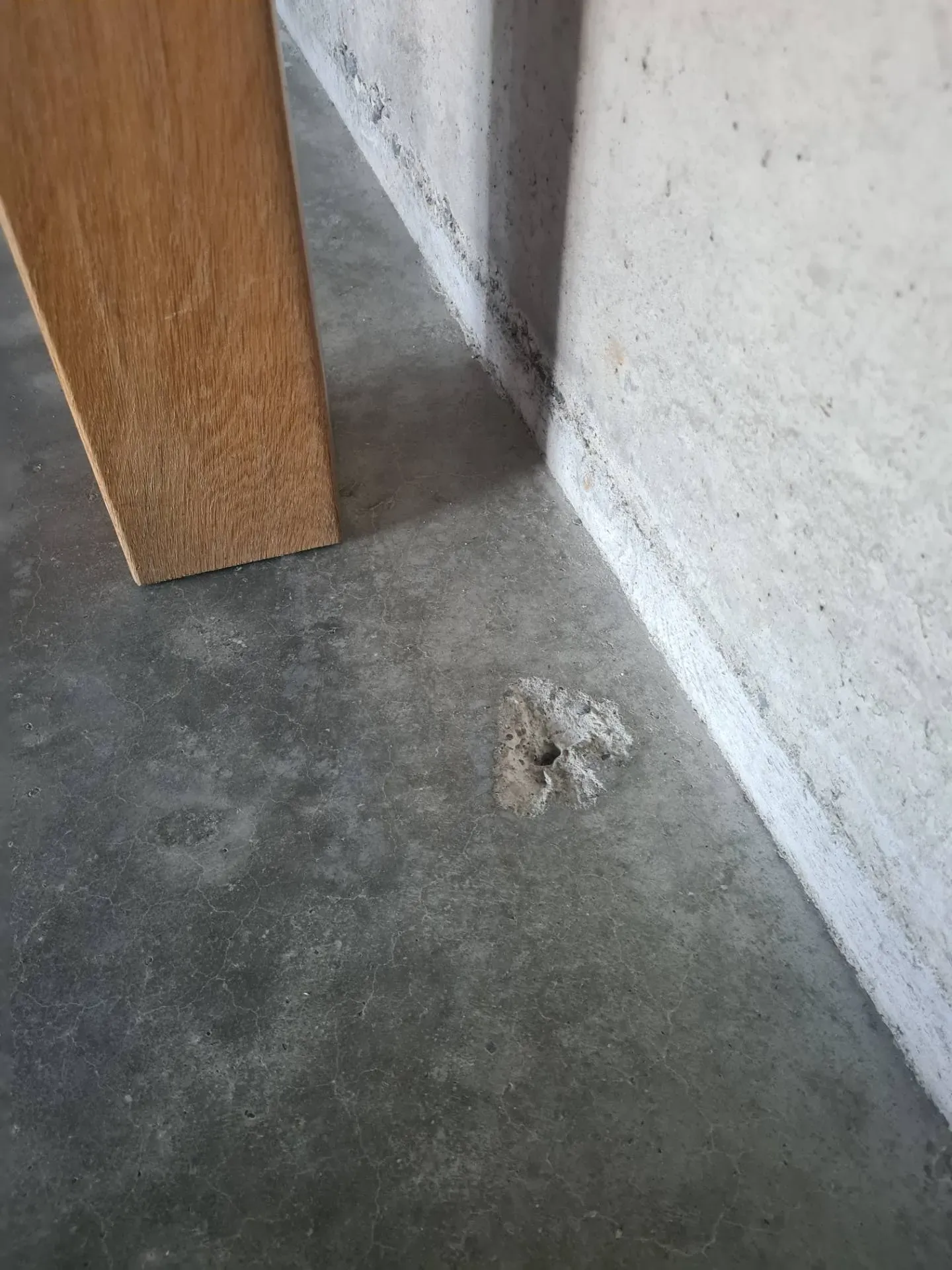 Loecher_sanieren_1 Loecher_sanieren_1