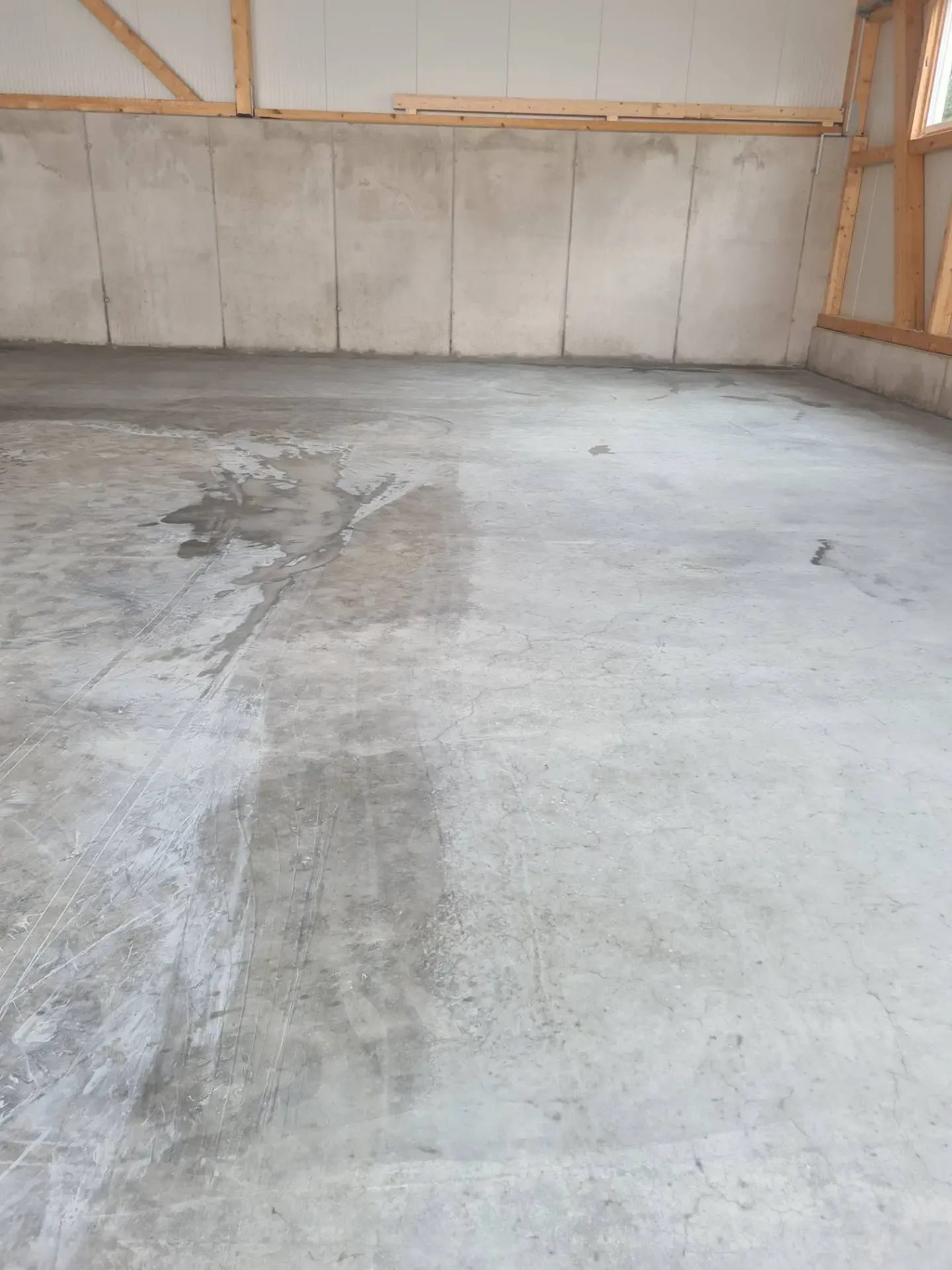 Halle_Reinigungsschliff Halle_Reinigungsschliff