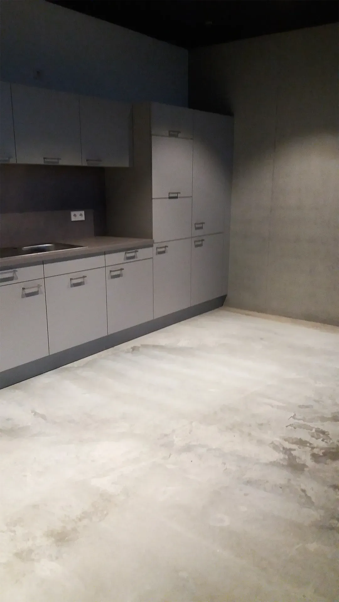 Moderne graue Küche mit Boden aus Beton und glatter Wandfläche