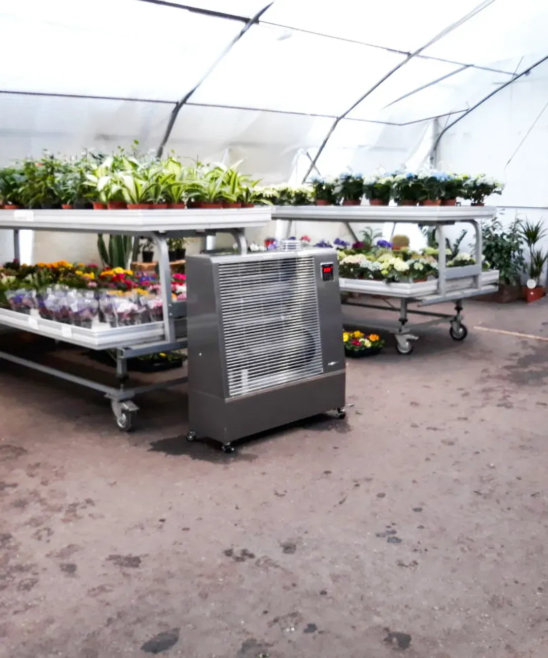 Gewächshaus mit Tischen voller Pflanzen und einem mobilen Heizgerät im Vordergrund